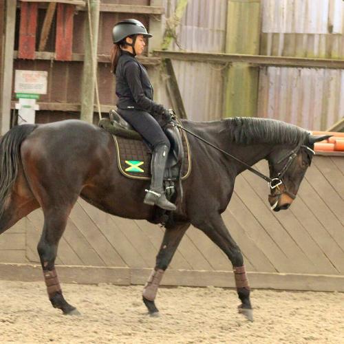 A girl riding a horse in a dressage arena