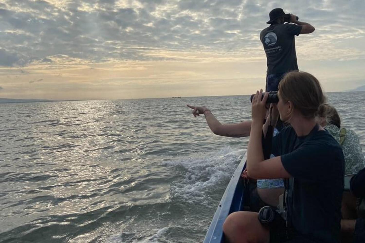 Students sit on a boat and hold binoculars up to look for wildlife in the ocean